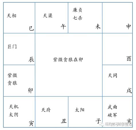 紫微斗數十二宮|十二宮